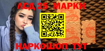 спиды Кандалакша