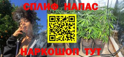 спиды Канаш