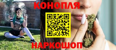 гашик Кимры